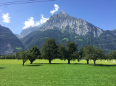 Utsikt från tågfönstret, Schweiz